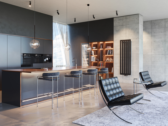 living room Zehnder Metropolitan radiator