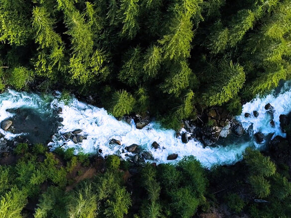 zehnder clean air in forest and river
