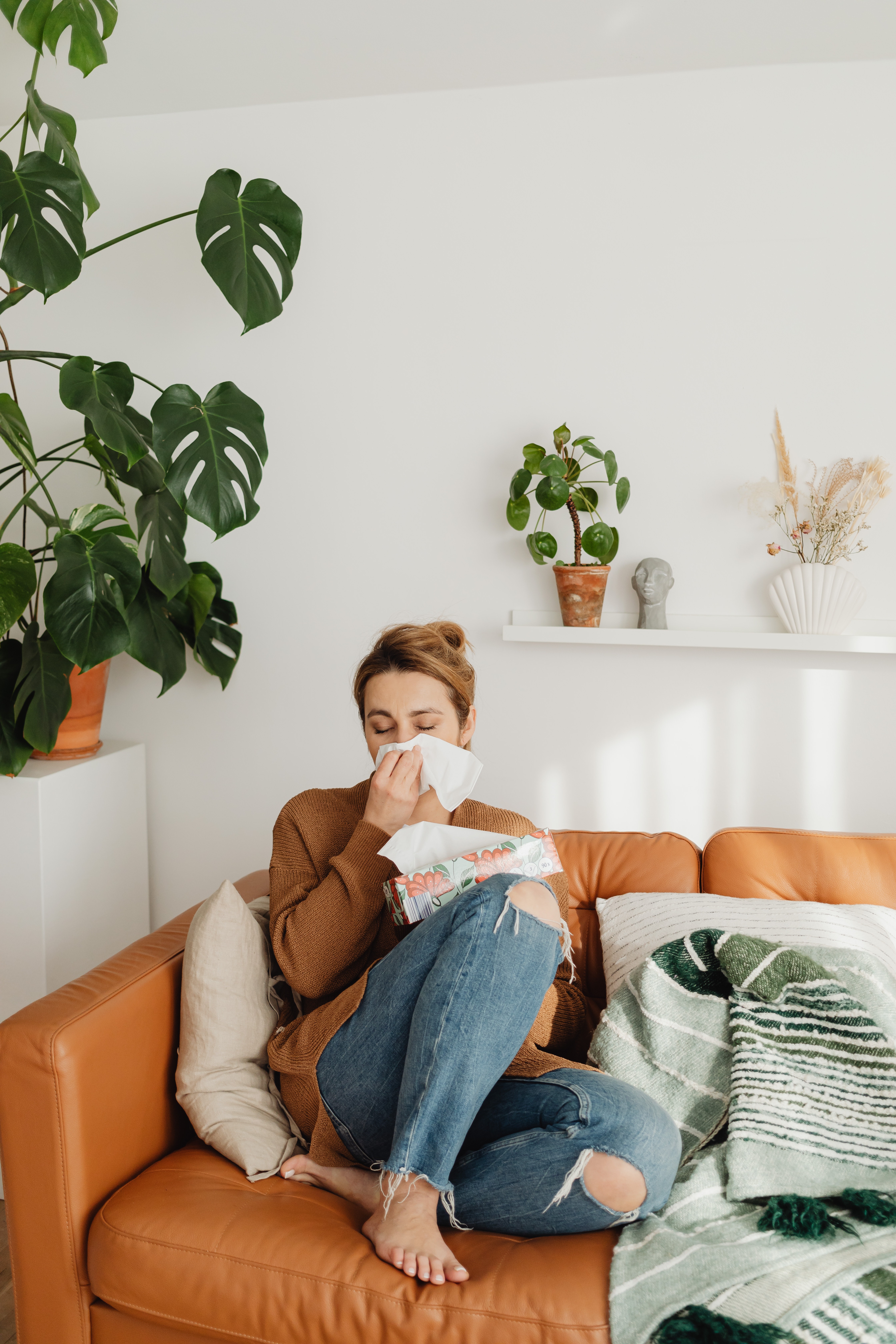 Woman with pollen allergy symptoms cleaning her nose at home Woman with allergy symptoms sitting on her coutch at home and cleaning her nose